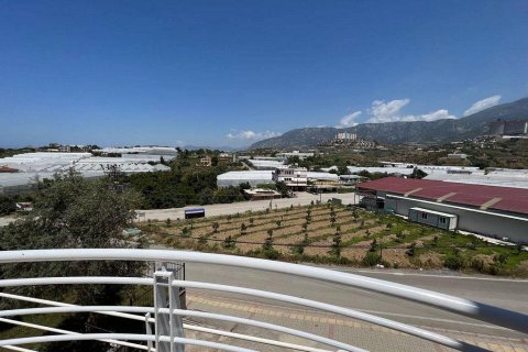 Villa  in Kargicak, Alanya, Antalya, Türkei Nr. 208276 - 20