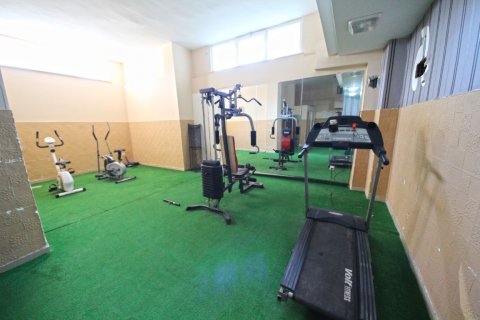 Penthäuser  in Mahmutlar, Antalya, Türkei Nr. 207810 - 15