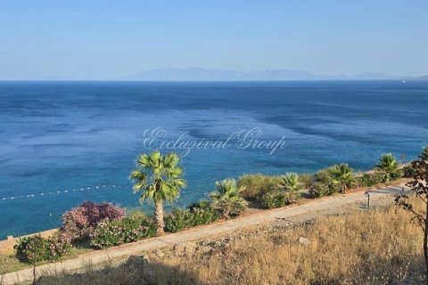 2+1 Villa  in Bodrum, Mugla, Türkei Nr. 210526 - 15