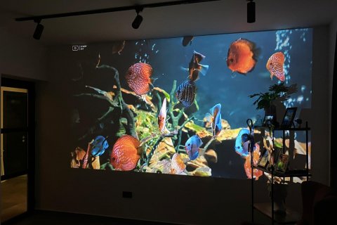 Villa for sale  in Famagusta, Northern Cyprus, 360m2, No. 211023 – photo 18