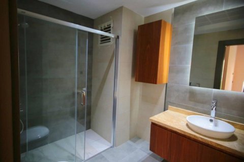 Dubleks daire Alanya, Antalya, Türkiye №209061 - 16