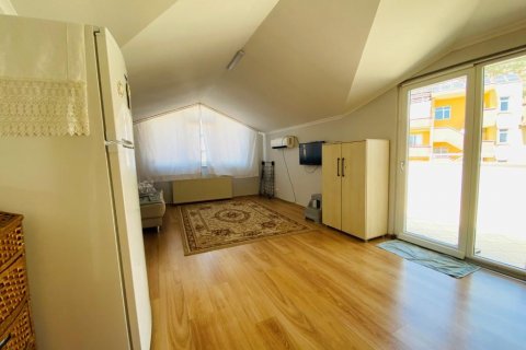 پنت هاس در  Alanya ، ترکیه  شماره 208476 - 14