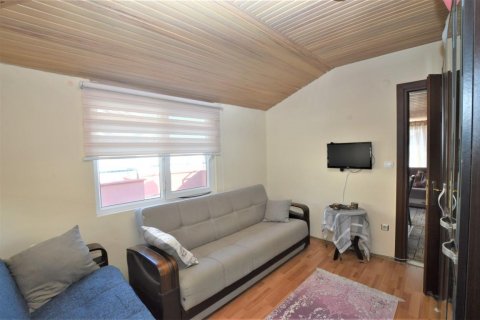 پنت هاس در  Alanya ، ترکیه 220 متر مربع.  شماره 208501 - 14