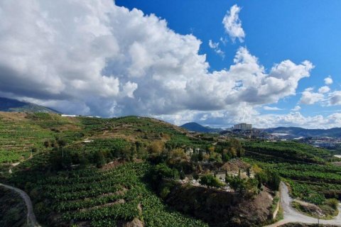 Takvåning  i Mahmutlar, Antalya, Turkiet Nr. 207775 - 17