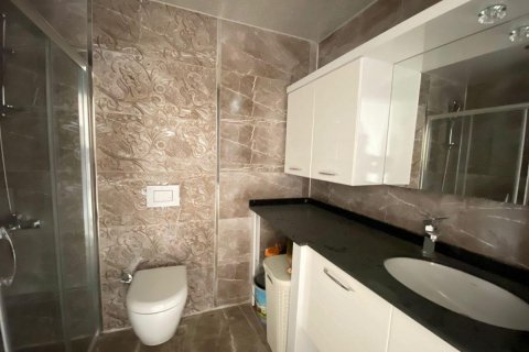 آپارتمان در  Kestel ، ترکیه 175 متر مربع.  شماره 207882 - 18