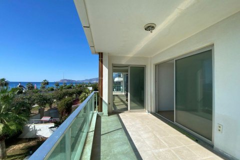 آپارتمان در  Kestel ، ترکیه 175 متر مربع.  شماره 207882 - 14