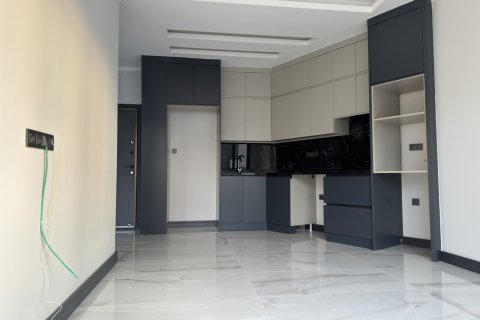 1+1 Wohnung  in Alanya, Antalya, Türkei Nr. 158405 - 6