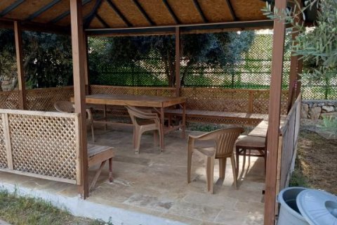 Lejlighed i Cikcilli, Antalya, Tyrkiet Nr. 211663 - 24