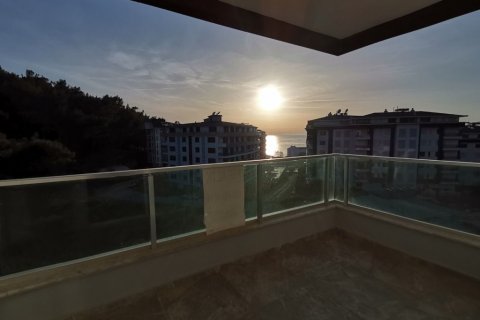 Wohnung  in Kargicak, Alanya, Antalya, Türkei Nr. 206989 - 12
