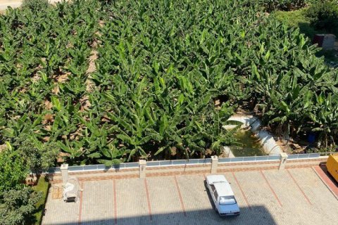 Daire   Mahmutlar, Antalya, Türkiye №209785 - 14