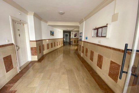 Lejlighed  i Alanya, Antalya, Tyrkiet Nr. 207293 - 23