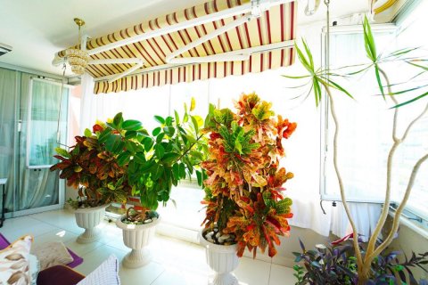 آپارتمان در  Mahmutlar ، ترکیه 115 متر مربع.  شماره 209473 - 9