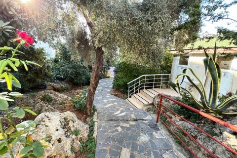 Lejlighed  i Tosmur, Alanya, Antalya, Tyrkiet Nr. 207888 - 14