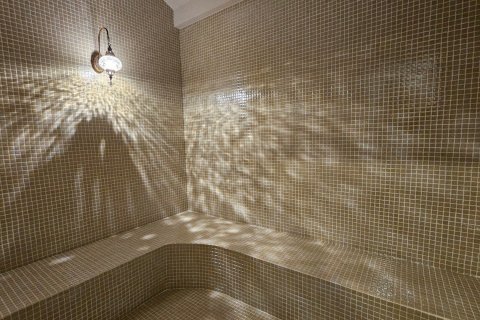 1+1 Lägenhet i Kestel, Antalya, Turkiet Nr. 192055 - 3