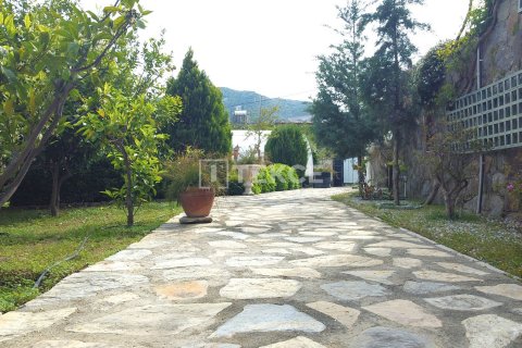 4+1 Villa  i Bodrum, Mugla, Turkiet Nr. 189629 - 14
