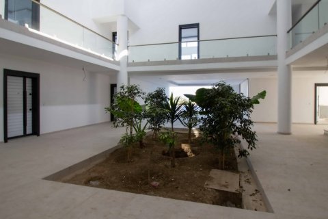 2+1 Leilighet i Girne, Nr. 190809 - 4