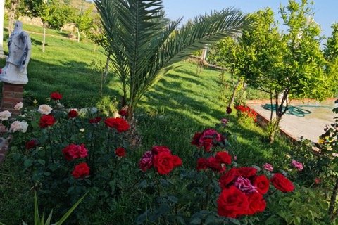 Продажа виллы  в Анталье, Турция 7+1, 350м2, №184793 – фото 4