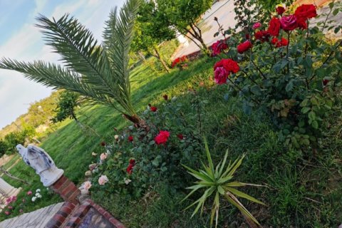 Продажа виллы  в Анталье, Турция 7+1, 350м2, №184793 – фото 9