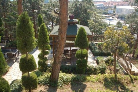 Leilighet  i Avsallar, Antalya, Tyrkia Nr. 209668 - 13