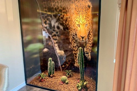 Продажа виллы в Аланье, Анталье, Турция 5 комн., 250м2, №209673 – фото 29