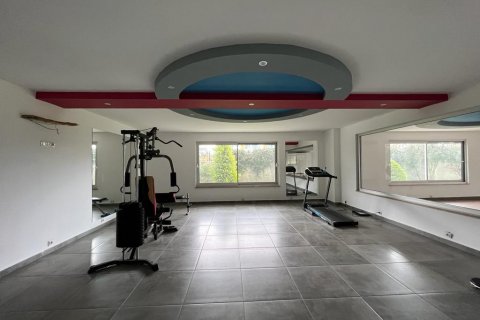 Продажа пентхауса  в Кестеле, Анталье, Турция 4 комн., 140м2, №208748 – фото 6