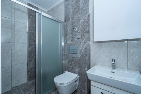 آپارتمان در  Alanya ، ترکیه 180 متر مربع.  شماره 209973 - 15