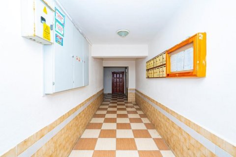 Продажа квартиры  в Аланье, Анталье, Турция 4 комн., 140м2, №209969 – фото 3