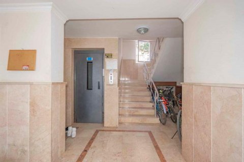 Продажа квартиры  в Аланье, Анталье, Турция 3 комн., 120м2, №207322 – фото 6