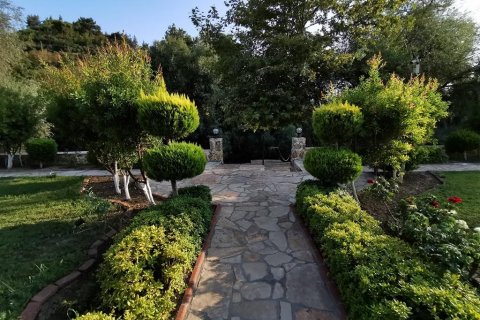 Продажа квартиры  в Кестеле, Анталье, Турция 3 комн., 115м2, №209662 – фото 8