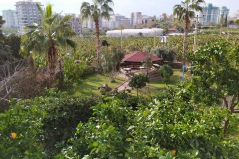 Lejlighed  i Mahmutlar, Antalya, Tyrkiet Nr. 209693 - 4