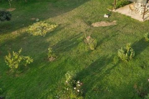 Leilighet  i Oba, Antalya, Tyrkia Nr. 193663 - 20