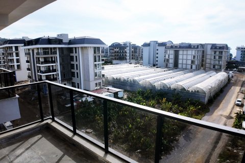 2+1 Wohnung  in Alanya, Antalya, Türkei Nr. 211232 - 11