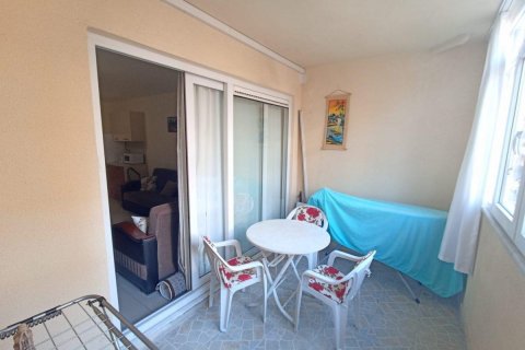 Wohnung  in Mahmutlar, Antalya, Türkei Nr. 209092 - 14