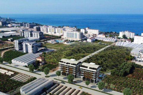 Продажа квартиры  в Аланье, Анталье, Турция 2 комн., 50м2, №209775 – фото 3