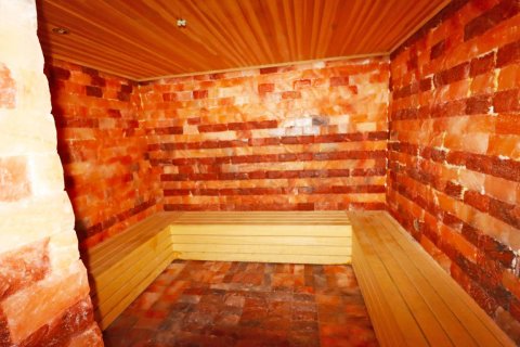 Leilighet  i Kestel, Antalya, Tyrkia Nr. 209726 - 25