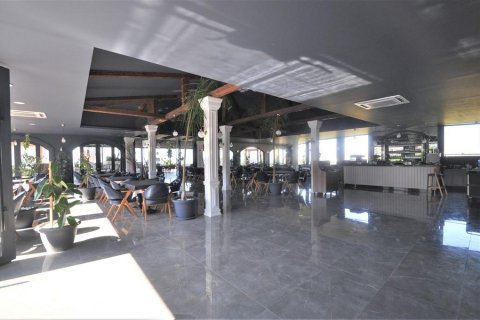Leilighet i Alanya, Antalya, Tyrkia Nr. 209442 - 21