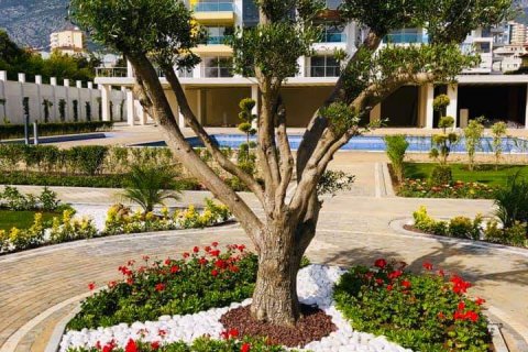 Продажа квартиры  в Махмутларе, Анталье, Турция 3 комн., 120м2, №209349 – фото 6