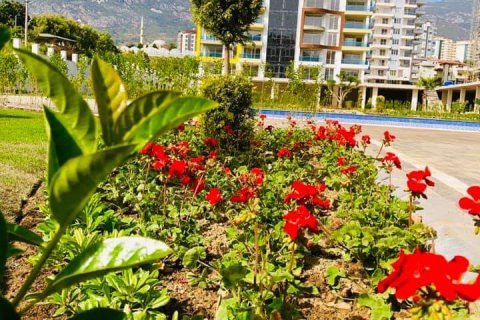 Продажа квартиры  в Махмутларе, Анталье, Турция 3 комн., 120м2, №209349 – фото 5