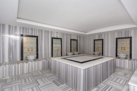 Wohnung  in Alanya, Antalya, Türkei Nr. 209263 - 21