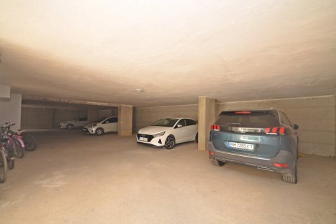 آپارتمان در  Kestel ، ترکیه 65 متر مربع.  شماره 208206 - 13