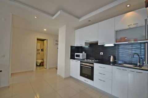 آپارتمان در  Kestel ، ترکیه 65 متر مربع.  شماره 208206 - 16