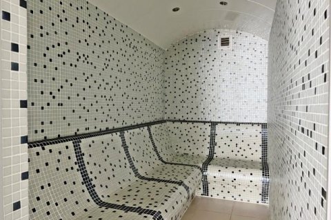 Dubleks daire   Alanya, Antalya, Türkiye №208204 - 6