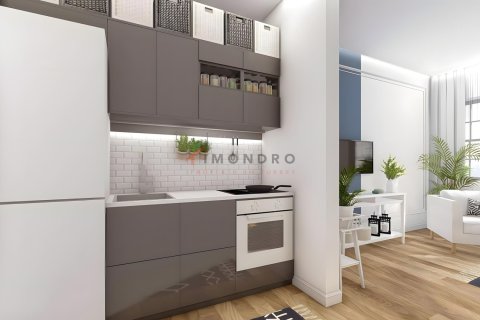 3+1 Villa  in Fatih, Istanbul, Türkei Nr. 151689 - 8