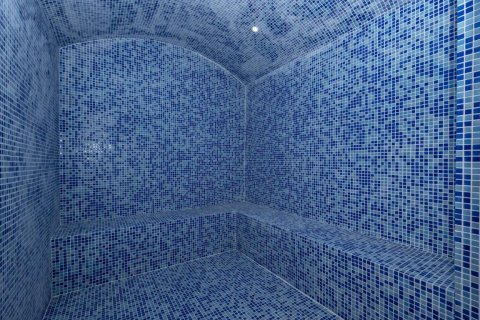 Leilighet i Alanya, Antalya, Tyrkia Nr. 208975 - 19