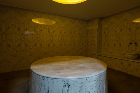 Lägenhet  i Mahmutlar, Antalya, Turkiet Nr. 207921 - 18