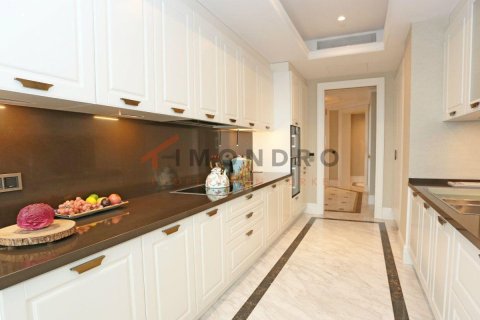 3+1 Lägenhet  i Zeytinburnu, Istanbul, istanbul, Turkiet Nr. 152726 - 25