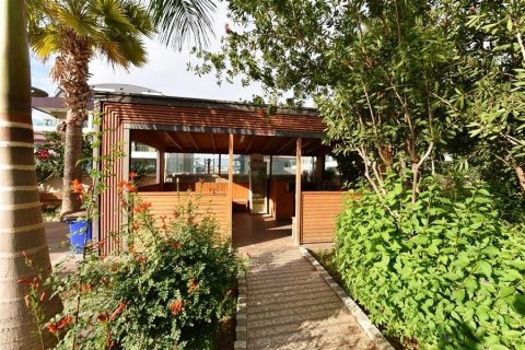 Daire Oba, Antalya, Türkiye №209415 - 20