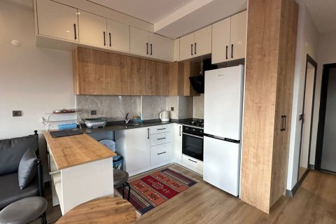 1+1 Lejlighed  i Altintash, Aksu, Antalya, Tyrkiet Nr. 210358 - 5