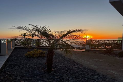 Продажа квартиры  в Айвансарае, Стамбуле, Турция 5 комн., 310м2, №192387 – фото 22