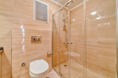 آپارتمان در  Kestel ، ترکیه 114 متر مربع.  شماره 207353 - 29